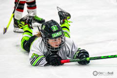 Lady Cyclones Hockey