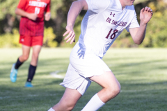 lib-v-desmet-37