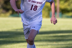 lib-v-desmet-39