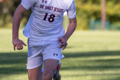 lib-v-desmet-40