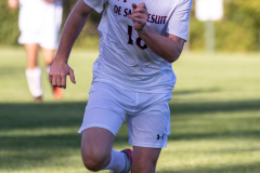 lib-v-desmet-41