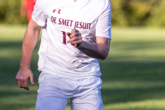 lib-v-desmet-43