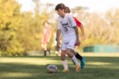 lib-v-desmet-44
