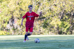 lib-v-desmet-45