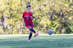 lib-v-desmet-46