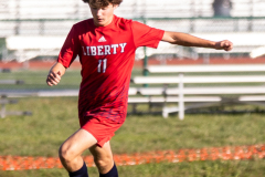 lib-v-desmet-5