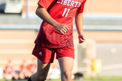 lib-v-desmet-54