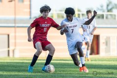 lib-v-desmet-55