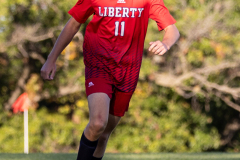 lib-v-desmet-56