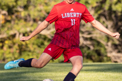 lib-v-desmet-57