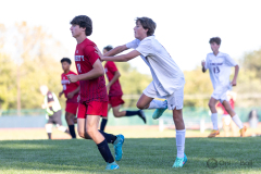 lib-v-desmet-58