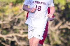 lib-v-desmet-61
