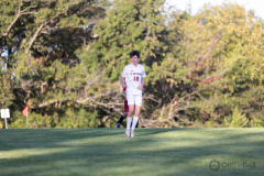 lib-v-desmet-62