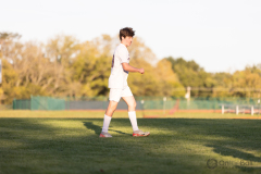 lib-v-desmet-63