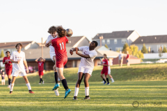 lib-v-desmet-65