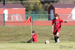 lib-v-desmet-8