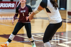 scw_v_fzn-108