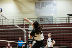 scw_v_fzn-223