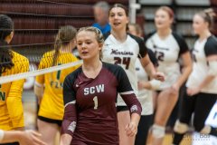 scw_v_fzn-36