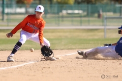 Gators Baseball